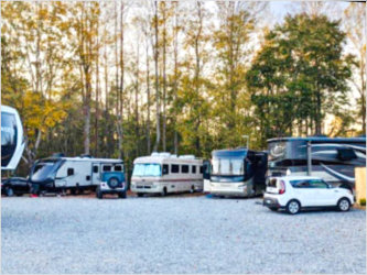 RVs parked at the Maple Ridge RV Park with trees in the background