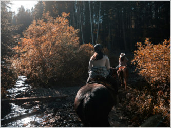 Two people ride horses along a creek through the woods