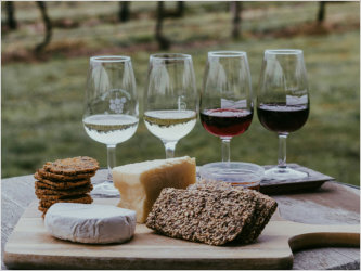 A wine tasting sits next to bread and cheese at a vineyard